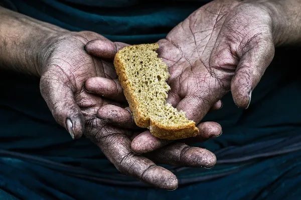 O atributo alt desta imagem está vazio. O nome do arquivo é inseguranca-alimentar-florianopolis.jpg